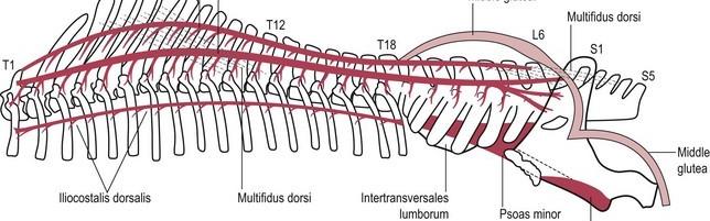 Hyyti&auml;inen et al.